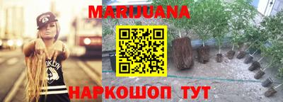 spice Волгодонск