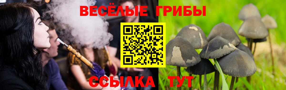 Жуковский  Псилоцибиновые грибы ЛСД  Вход с VPN 